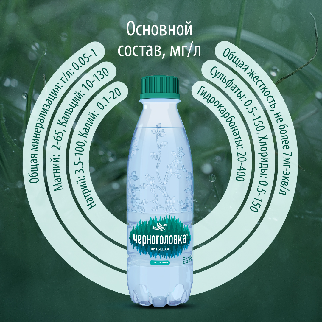 Вода питьевая ЧЕРНОГОЛОВКА 0,25 л, газ, ПЭТ