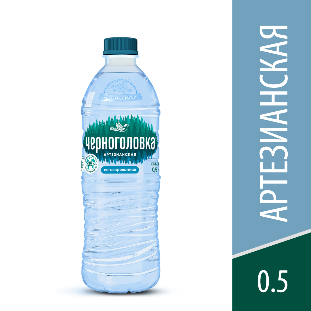 Вода питьевая артезианская ЧЕРНОГОЛОВКА 0,5 л, без газа, ПЭТ