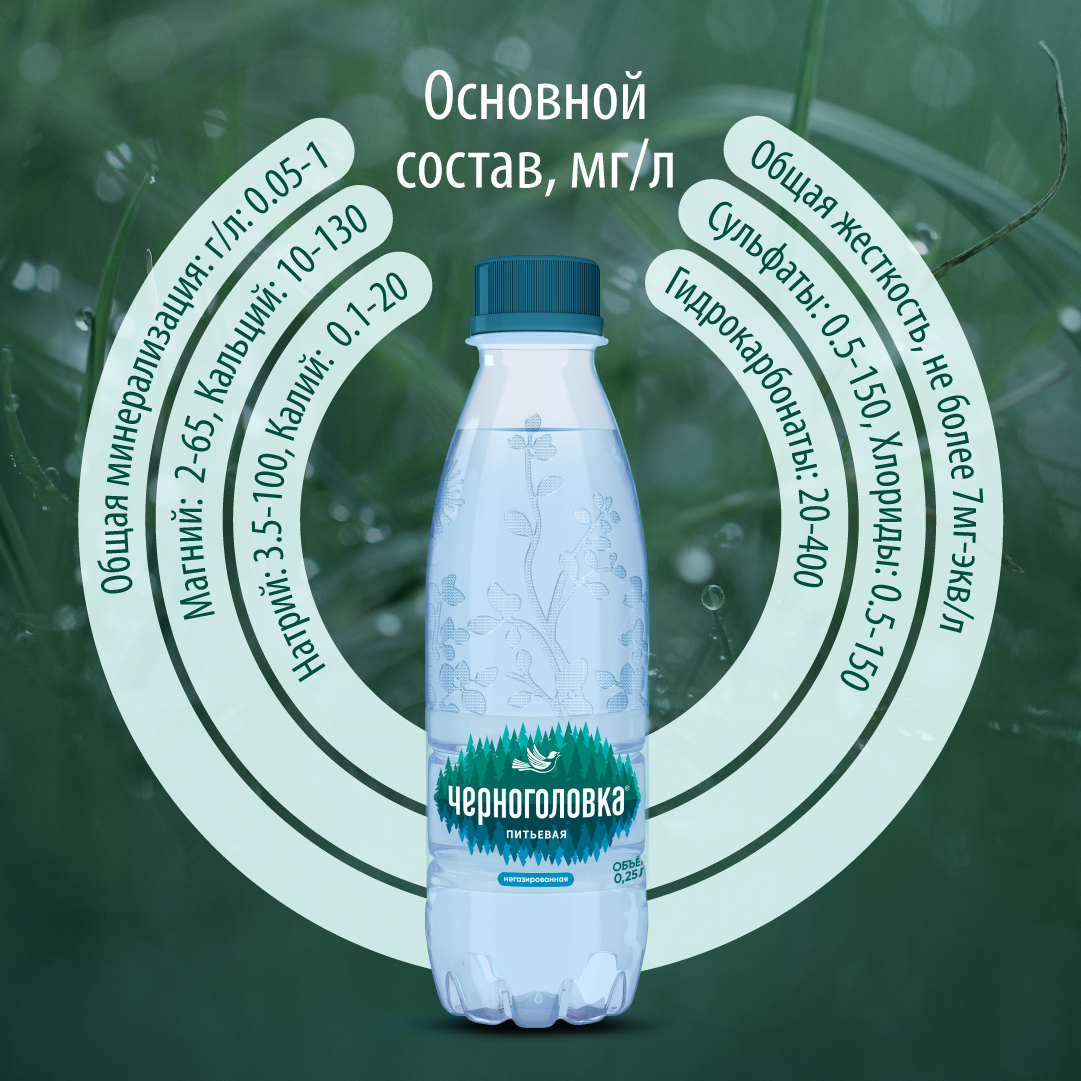 Вода питьевая ЧЕРНОГОЛОВКА 0,25 л, без газа, ПЭТ