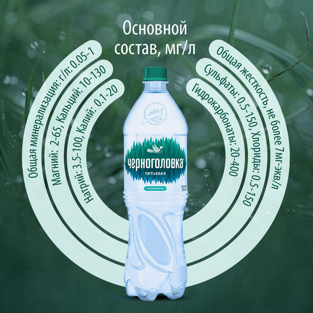 Вода питьевая ЧЕРНОГОЛОВКА 1,5 л, газ, ПЭТ