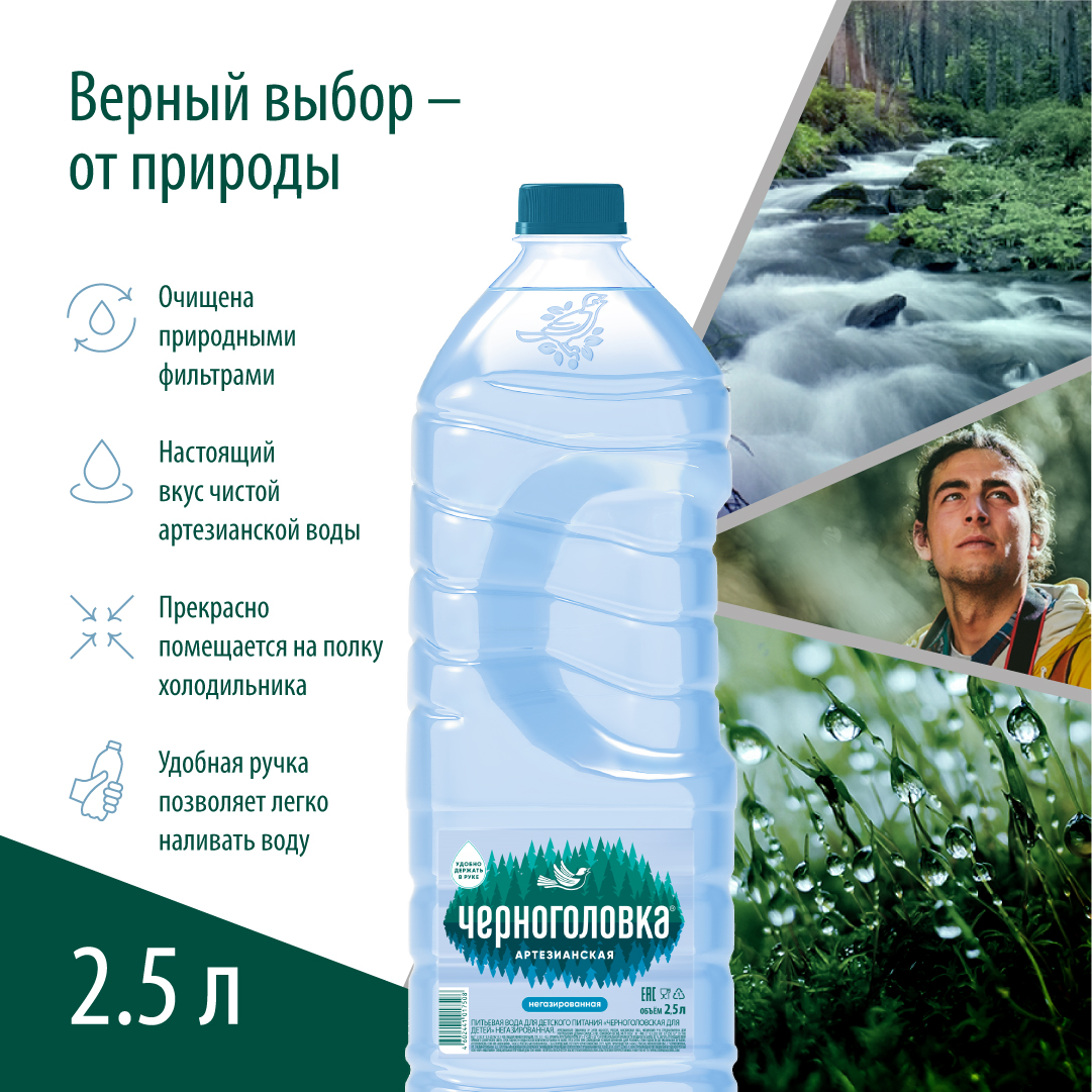 Вода питьевая артезианская ЧЕРНОГОЛОВКА 2,5 л, без газа, ПЭТ
