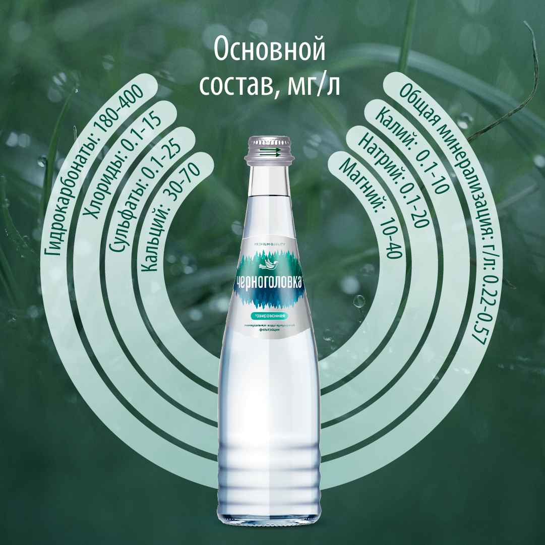 Вода питьевая минеральная ЧЕРНОГОЛОВКА 0,33 л, газ, стекло