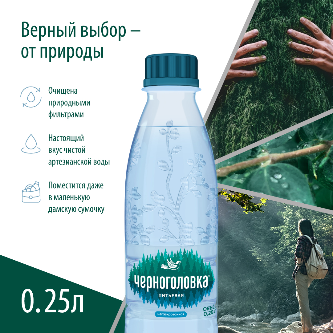 Вода питьевая ЧЕРНОГОЛОВКА 0,25 л, без газа, ПЭТ