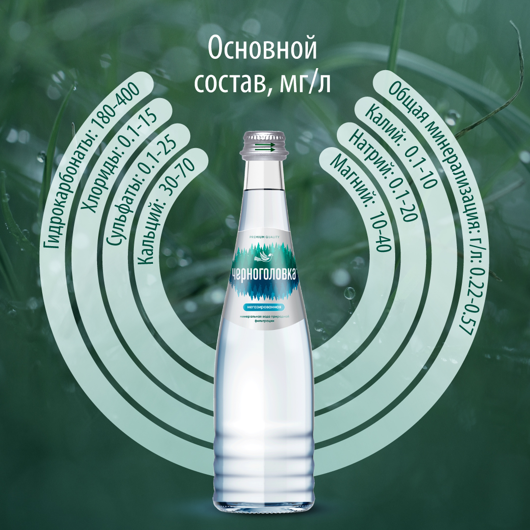 Вода питьевая минеральная ЧЕРНОГОЛОВКА 0,33 л, без газа, стекло