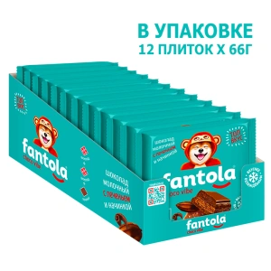 Шоколад молочный FANTOLA с начинкой и печеньем, вкус CHOCO VIBE, 66 г