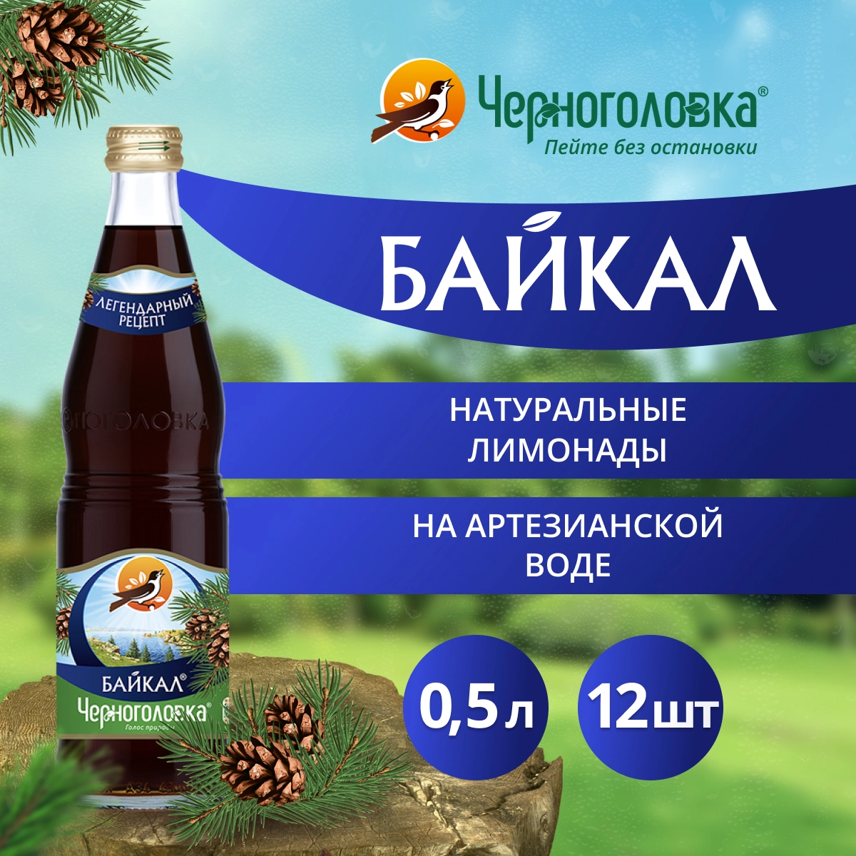 Польза напитка «Байкал»